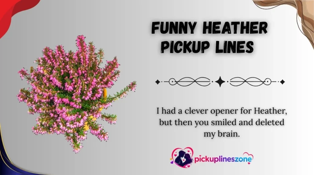 Funny Heather Pickup Lines