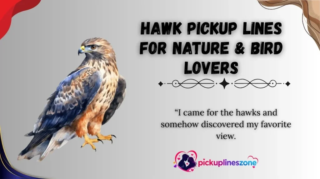 Hawk Pickup Lines for Nature & Bird Lovers